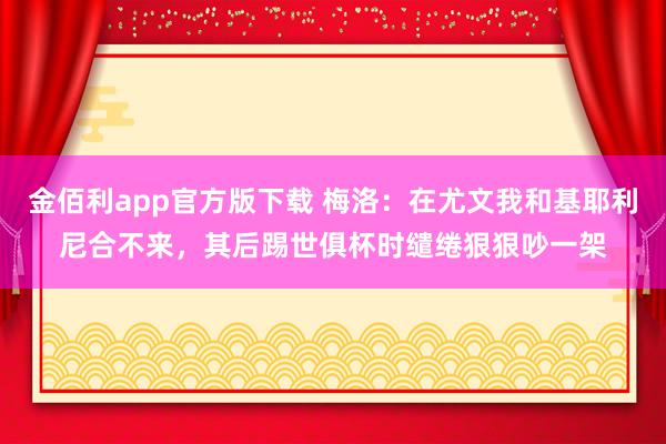 金佰利app官方版下载 梅洛：在尤文我和基耶利尼合不来，其后踢世俱杯时缱绻狠狠吵一架