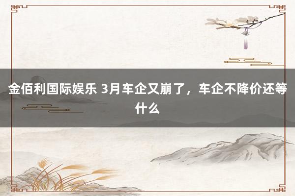 金佰利国际娱乐 3月车企又崩了，车企不降价还等什么