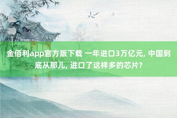 金佰利app官方版下载 一年进口3万亿元， 中国到底从那儿， 进口了这样多的芯片?