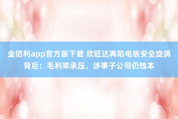 金佰利app官方版下载 欣旺达再陷电板安全旋涡背后：毛利率承压，涉事子公司仍蚀本