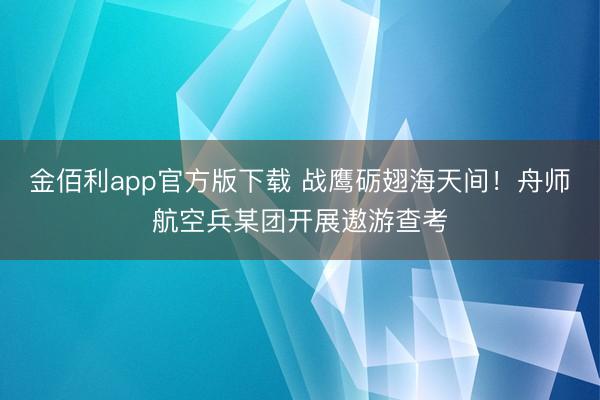 金佰利app官方版下载 战鹰砺翅海天间!舟师航空兵某团开展遨游查考