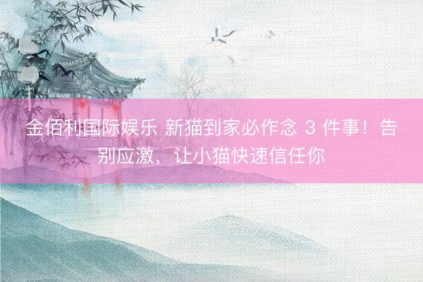 金佰利国际娱乐 新猫到家必作念 3 件事!告别应激,让小猫快速信任你