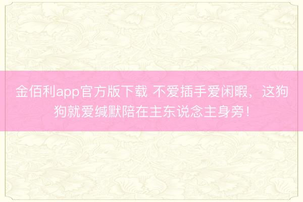金佰利app官方版下载 不爱插手爱闲暇,这狗狗就爱缄默陪在主东说念主身旁!