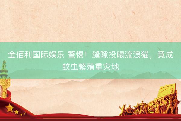 金佰利国际娱乐 警惕！缝隙投喂流浪猫，竟成蚊虫繁殖重灾地