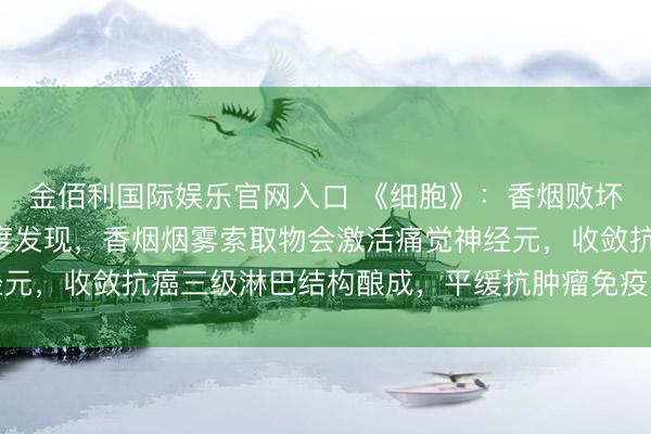金佰利国际娱乐官网入口 《细胞》：香烟败坏抗癌前列！科学家初度发现，香烟烟雾索取物会激活痛觉神经元，收敛抗癌三级淋巴结构酿成，平缓抗肿瘤免疫丨科学大发现