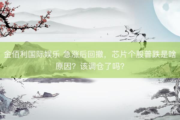 金佰利国际娱乐 急涨后回撤,芯片个股普跌是啥原因?该调仓了吗?