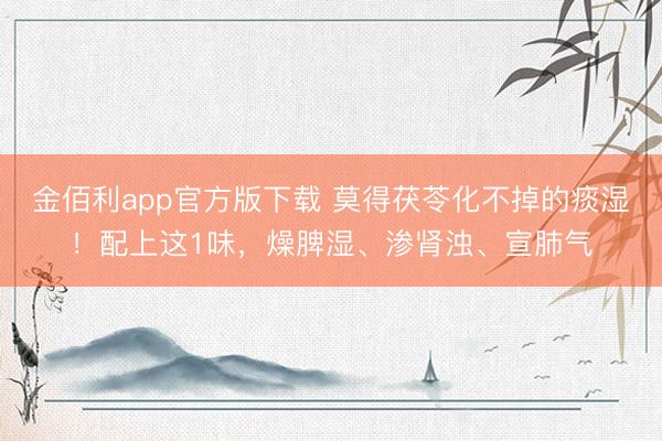 金佰利app官方版下载 莫得茯苓化不掉的痰湿！配上这1味，燥脾湿、渗肾浊、宣肺气