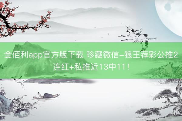 金佰利app官方版下载 珍藏微信-狼王荐彩公推2连红+私推近13中11！