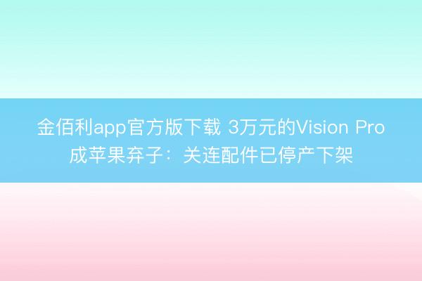 金佰利app官方版下载 3万元的Vision Pro成苹果弃子:关连配件已停产下架