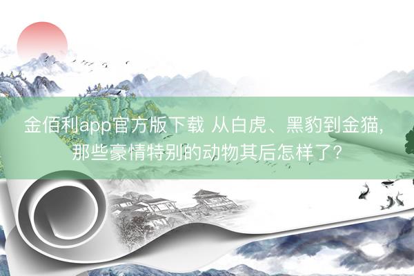 金佰利app官方版下载 从白虎、黑豹到金猫， 那些豪情特别的动物其后怎样了?
