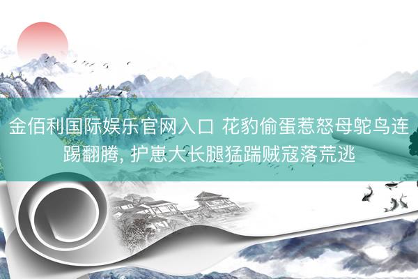 金佰利国际娱乐官网入口 花豹偷蛋惹怒母鸵鸟连踢翻腾， 护崽大长腿猛踹贼寇落荒逃
