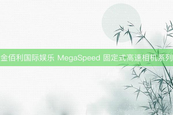 金佰利国际娱乐 MegaSpeed 固定式高速相机系列